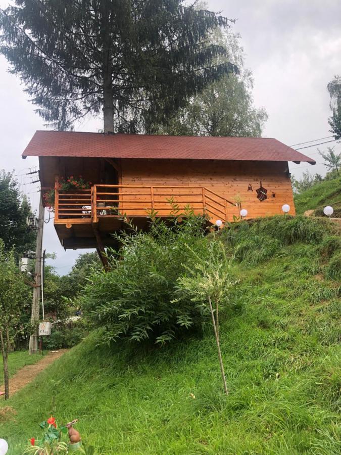 Domeniul Horj Casa Din Deal Majszin Kültér fotó