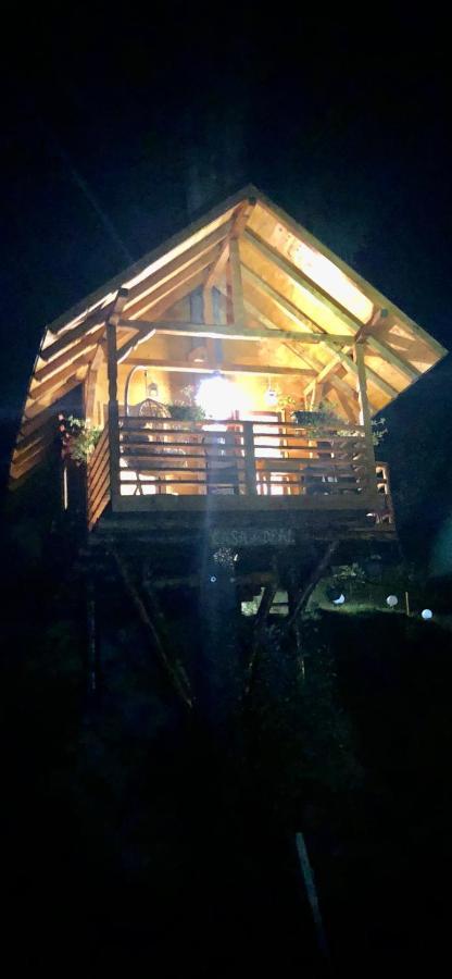 Domeniul Horj Casa Din Deal Majszin Kültér fotó