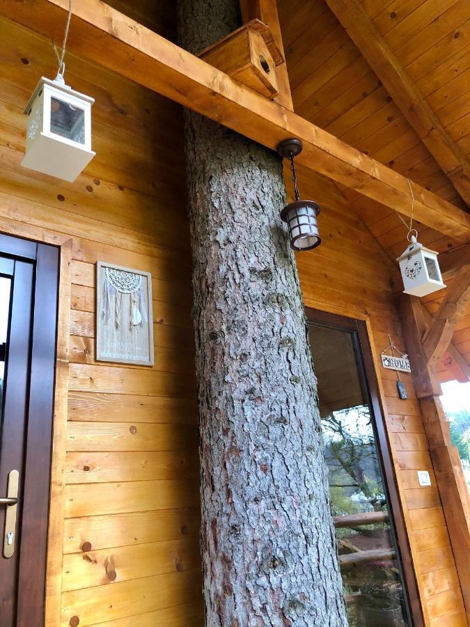 Domeniul Horj Casa Din Deal Majszin Kültér fotó