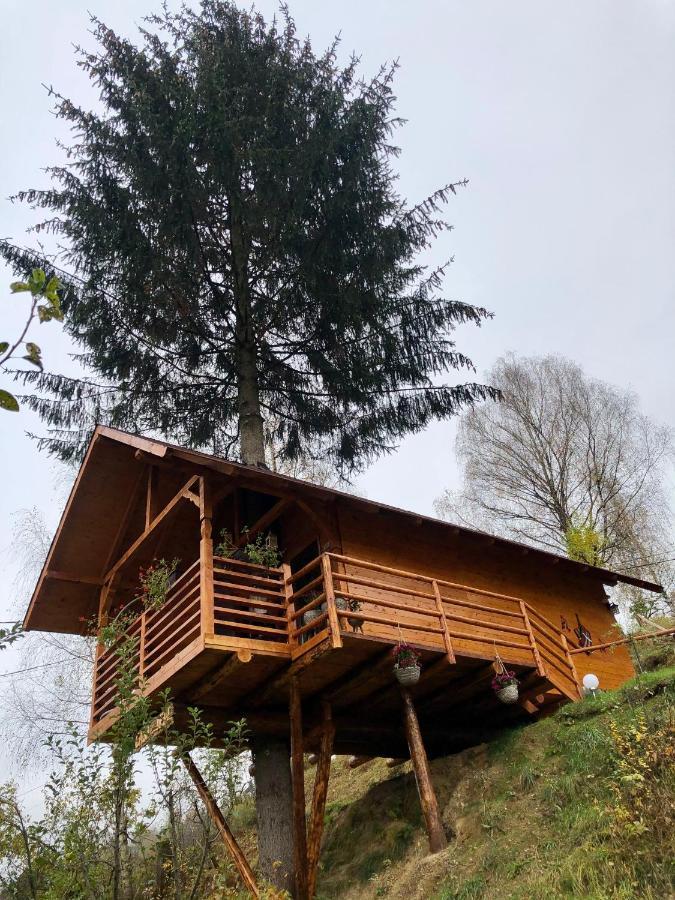 Domeniul Horj Casa Din Deal Majszin Kültér fotó
