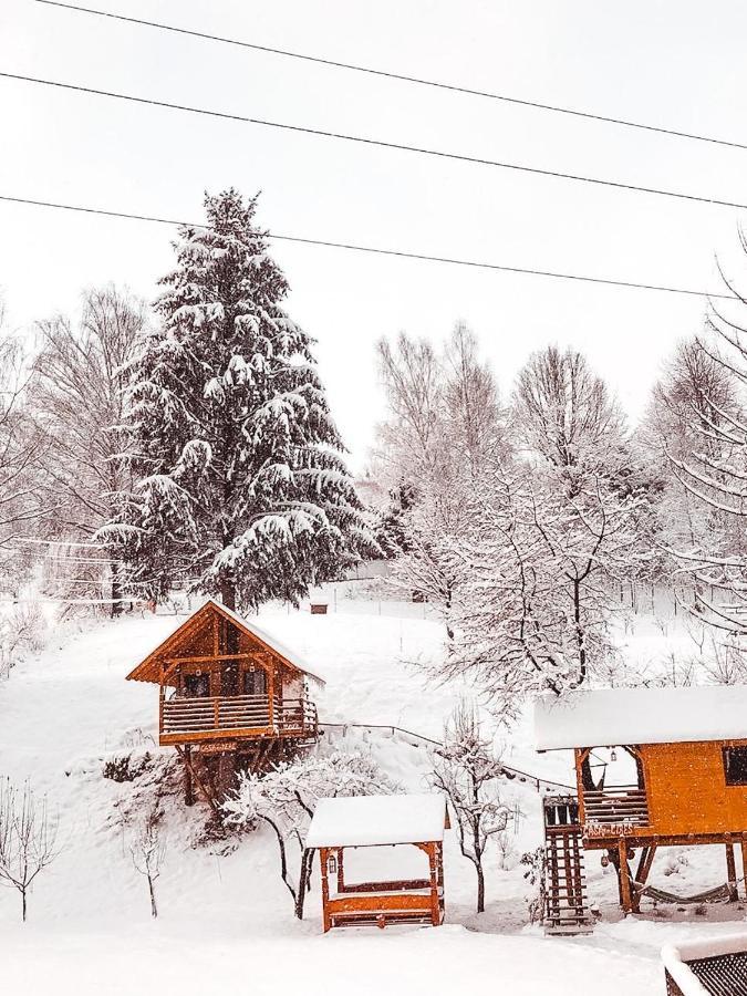 Domeniul Horj Casa Din Deal Majszin Kültér fotó