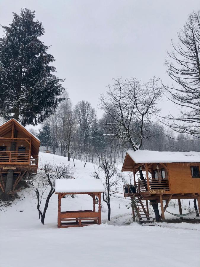 Domeniul Horj Casa Din Deal Majszin Kültér fotó